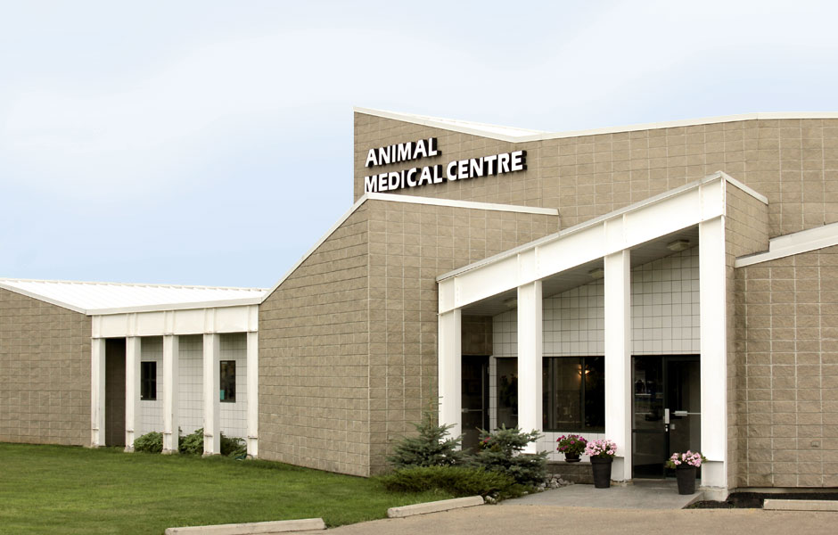 The Animal Medical Centre Edmonton - Exterior
