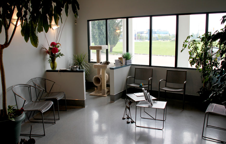 The Animal Medical Centre Edmonton - Waiting Area