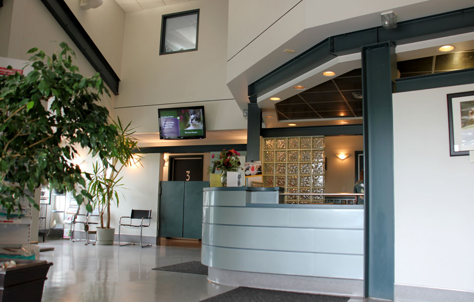 The Animal Medical Centre Edmonton - Reception